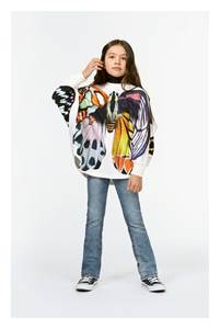 Giant Butterfly