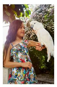 Wild Amazone