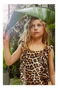 Jungle Jaguar