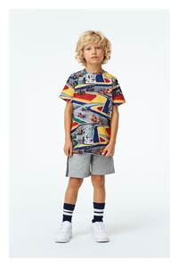 Race Driver