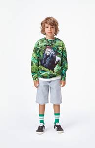 Jungle Gorilla
