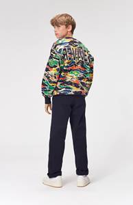 Colour Camouflage