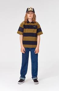 Polo Imaginations