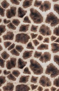 Giraffe Skin