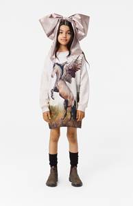 Pegasus