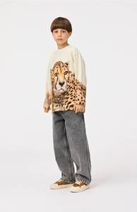 Cheetah Light