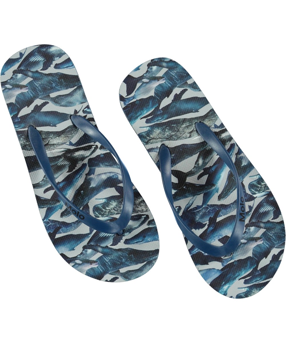 Zeppo - Whales - Flip-flops 