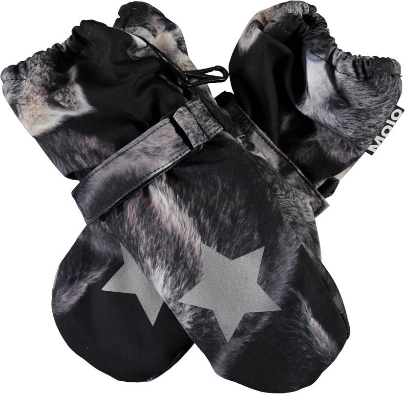 Igor - Teddy - Vantar med björnar och reflex