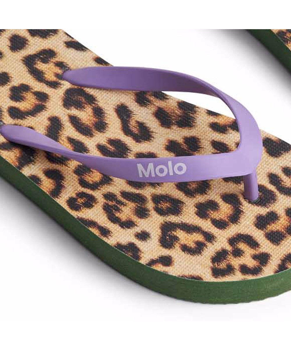 Zeppo - Allover Leo - Teenslippers voor kinderen met zachte schuimzool en paarse plastic bandjes.
