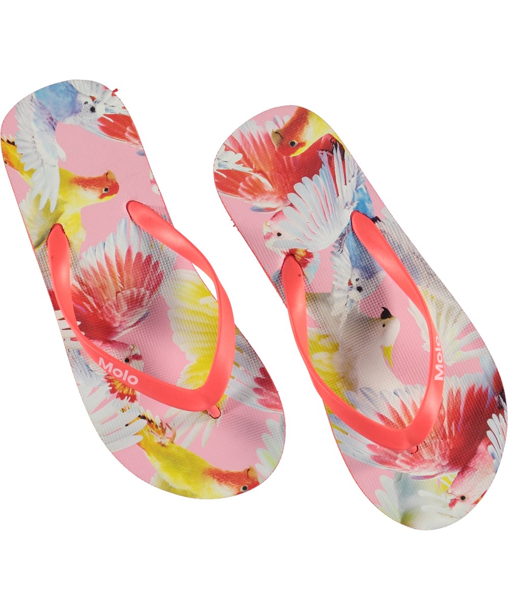 Zeppo - Cockatoos - Roze teenslippers met papegaaienprint