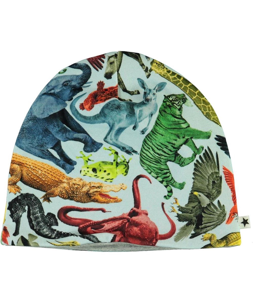 Ned - Colourful Animals - Organic light blue baby hat with animal print