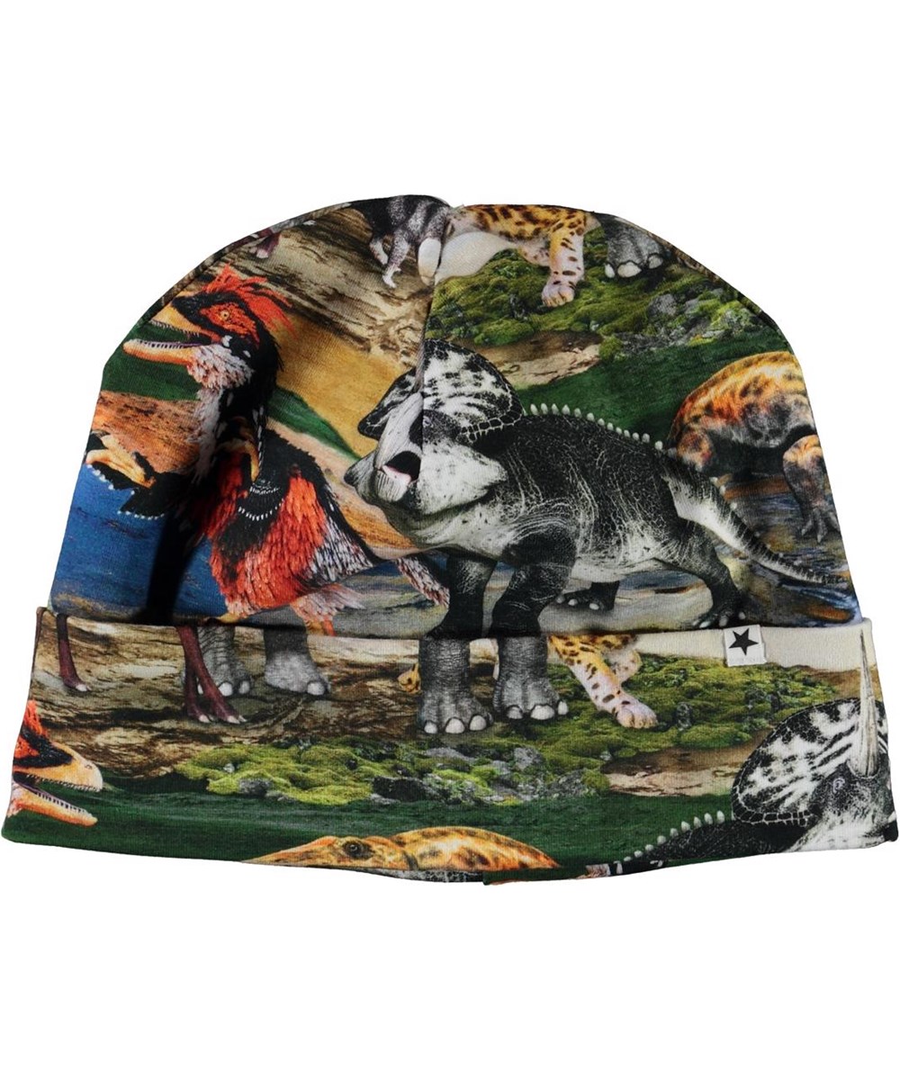 Nico - Ancient World - Hat with animal print