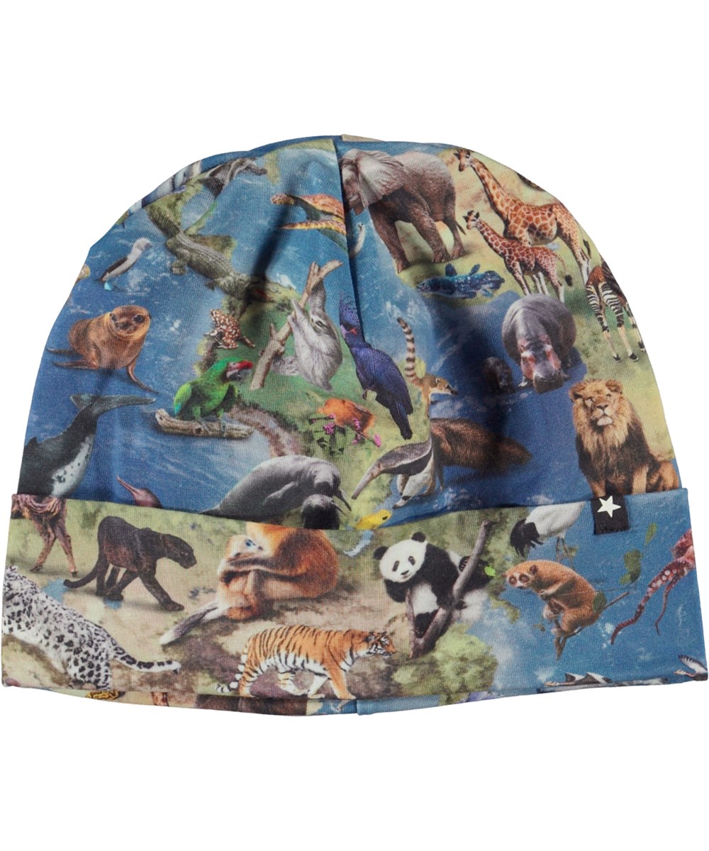Nico - Animal Earth - Organic hat with animal print