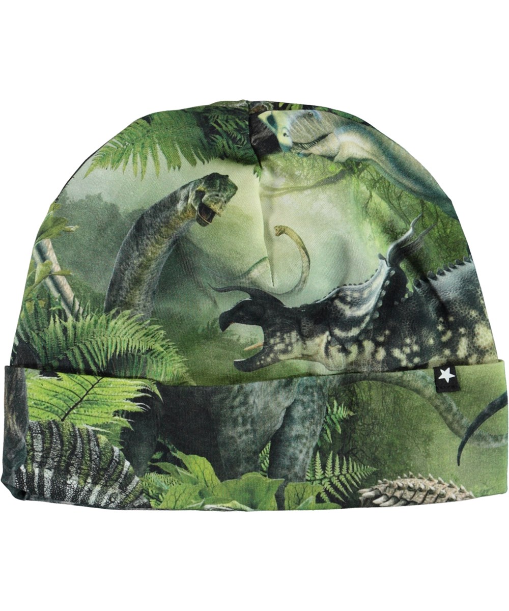 Nico - Dinos - Organic hat in green with dinosaur print
