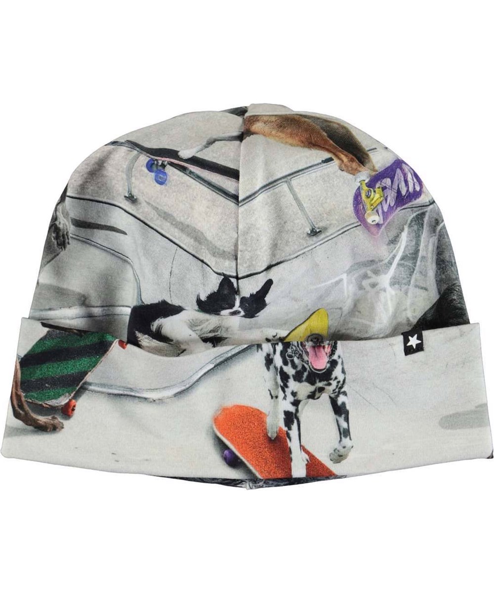 Nico - Doggy Town - Baby hat with dogs on skateboards