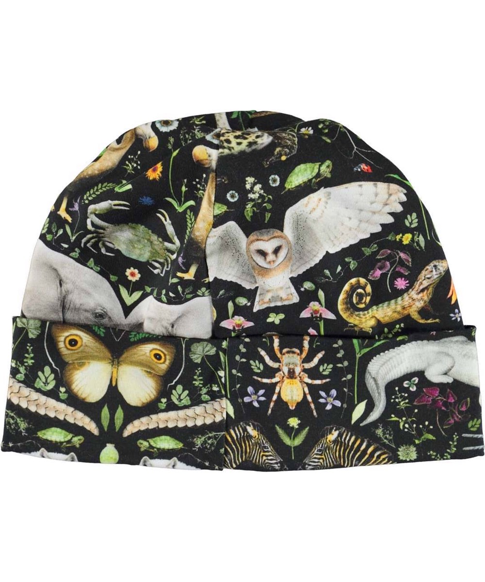 Nico - Faunatastic - Baby hat with fantasy animals