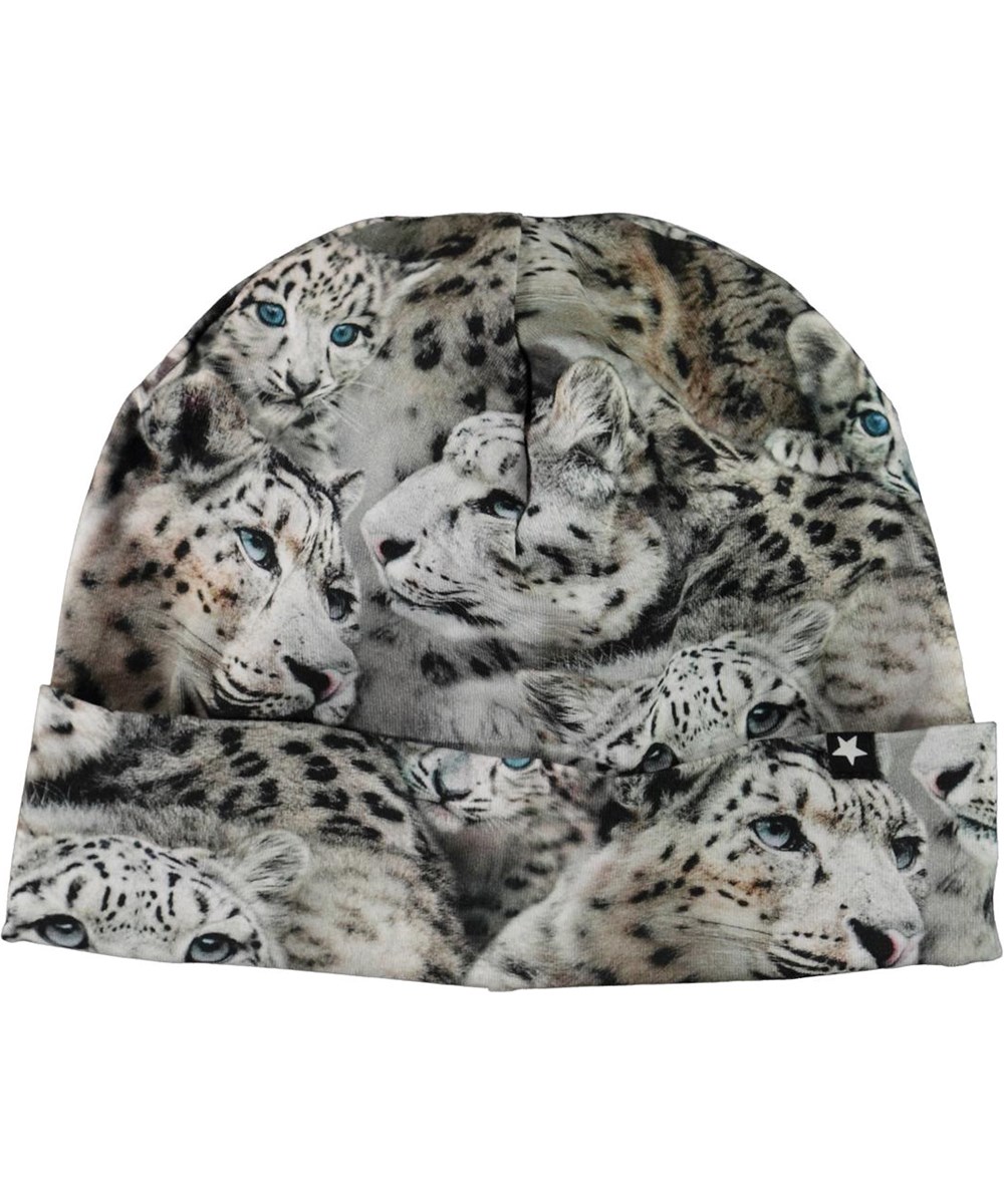 Nico - Winter Leopards - Hat with snow leopard