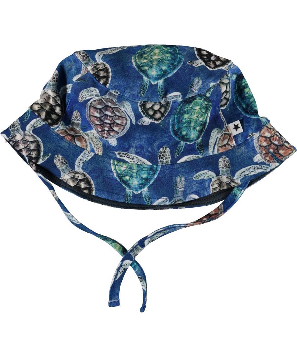 Nomly - Mini Turtles - Blue bucket hat with turtles 