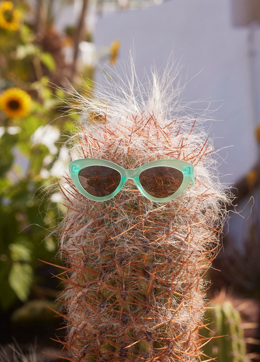 Simba - Cool Mint - Mint green, cat-eye solbriller with brown lenses