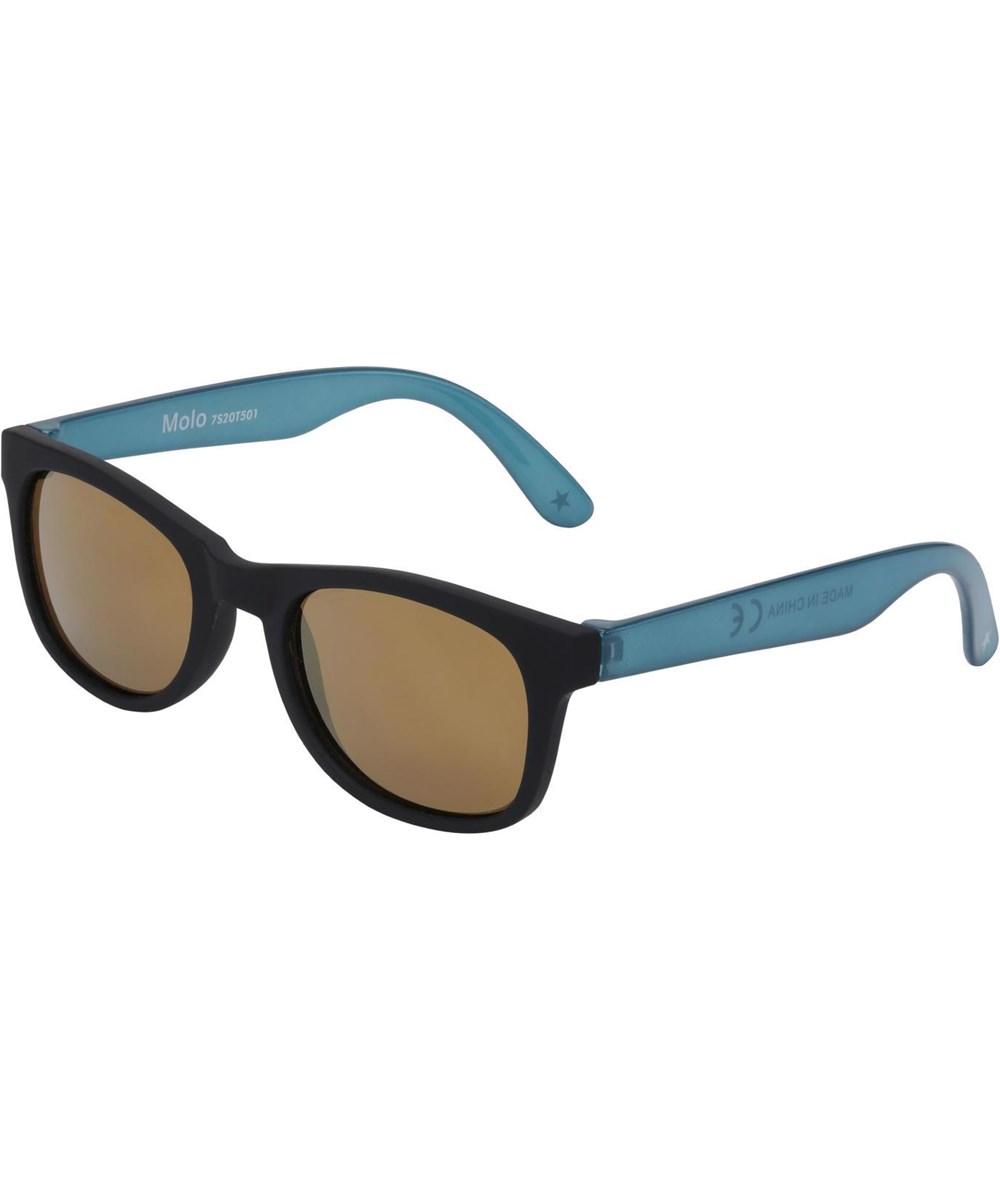 Star - Poseidon - Black sunglasses with brown lenses and blue temples.