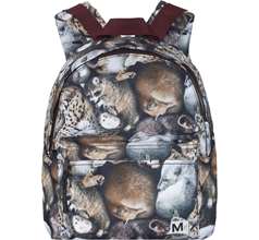 Backpack Bags & Containers