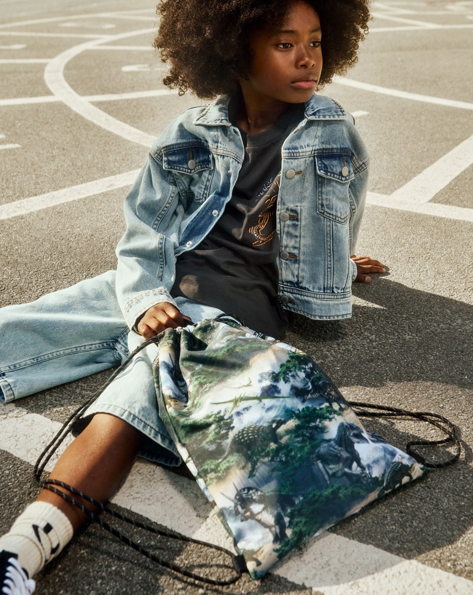 Gym Bag - Mountain Dino - Green-grey gym bag with print of dinosaur landscape made in durable polyester with water-repellent properties