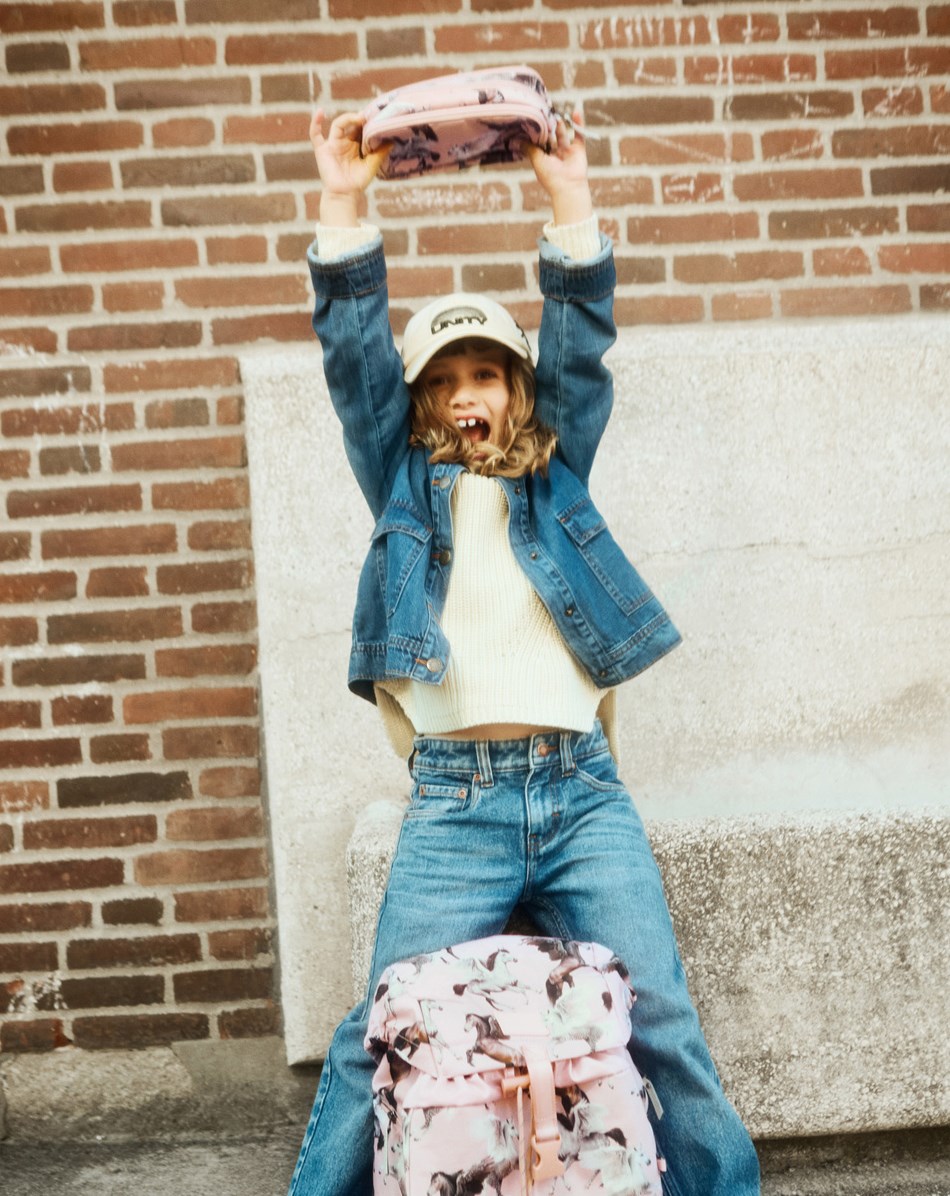 Pencil Cas - Pegasus - Practical pink pencil case with print of flying pegasi