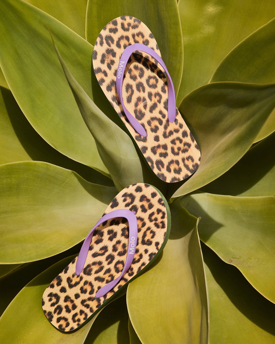 Zeppo - Allover Leo - Flip-Flops für Kinder mit weicher Schaumstoffsohle und violetten Kunststoffriemen.