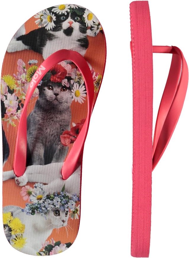 Zeppo - Flower Power Cats - 