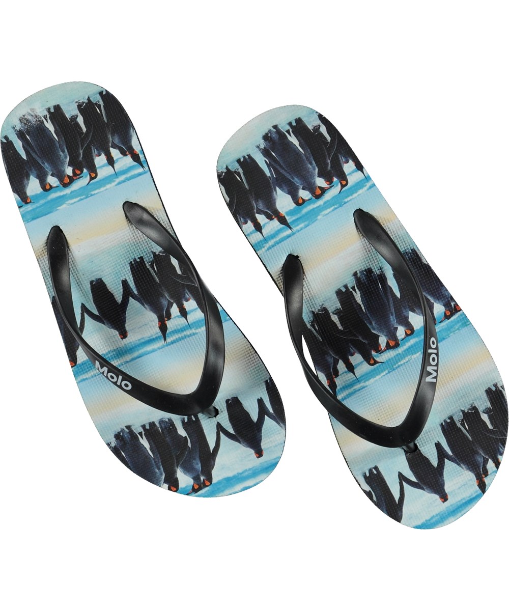 Zeppo - Penguin Stripe - Sandalen mit Pinguinen