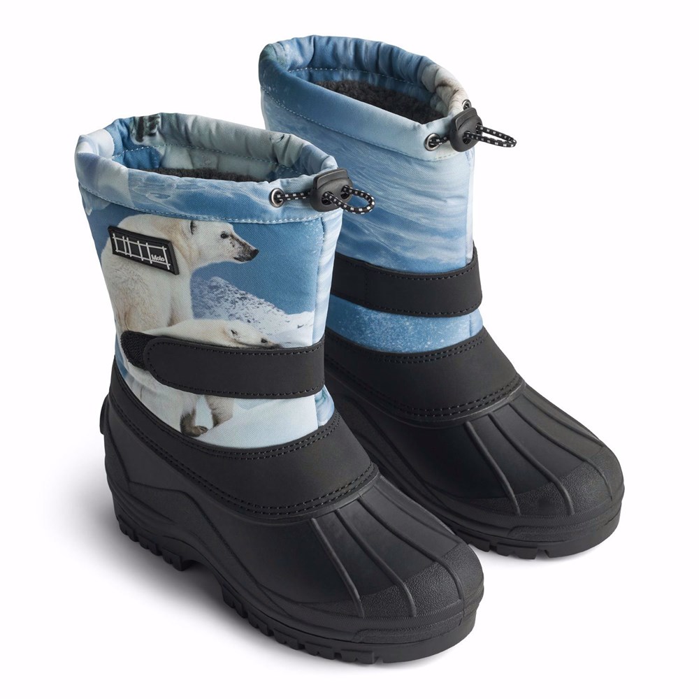 Driven Polar Bear Joy