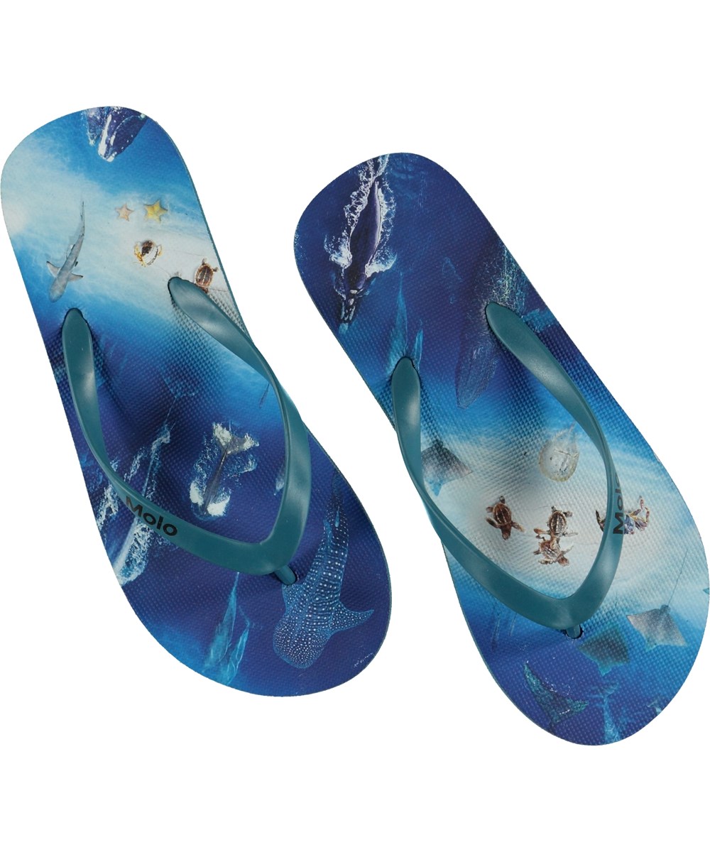 Zeppo - Above Ocean - Blue flip flops with ocean print 