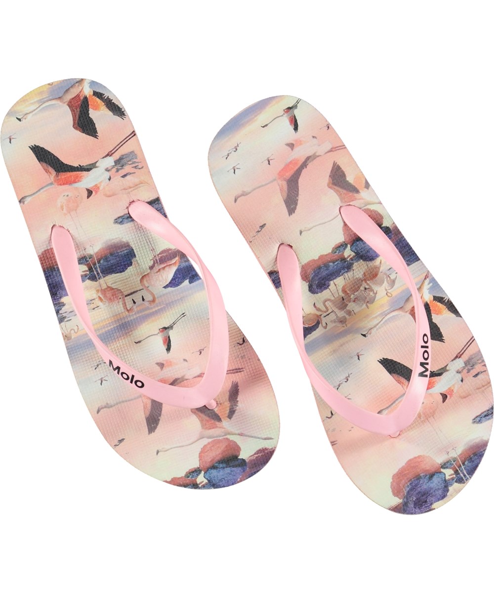 Zeppo - Flamingo - Flip flops with flamingos.