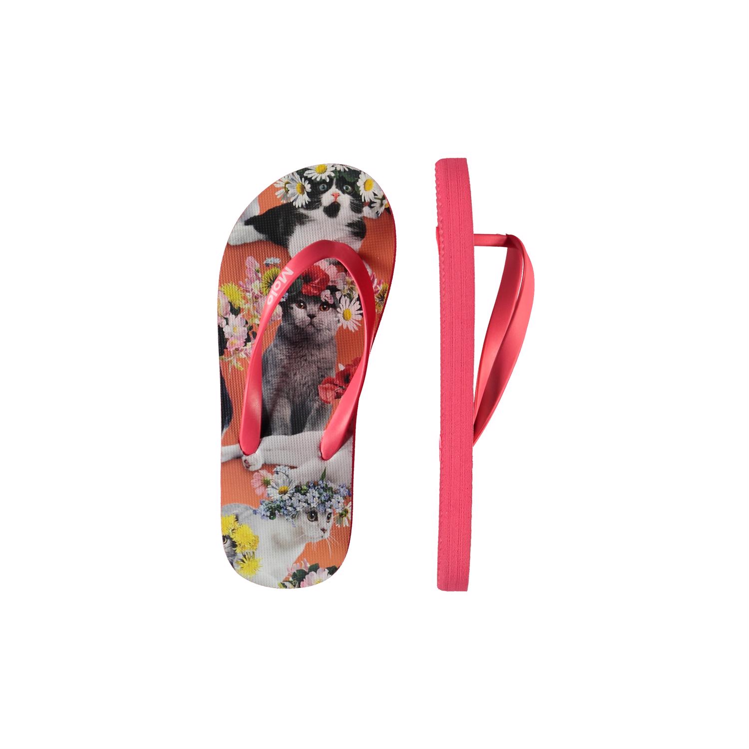 Zeppo - Flower Power Cats - Flip flops with cat print - Molo