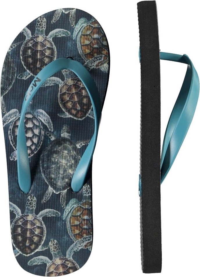 Zeppo - Sea Turtles - Flip flops with turtle print 