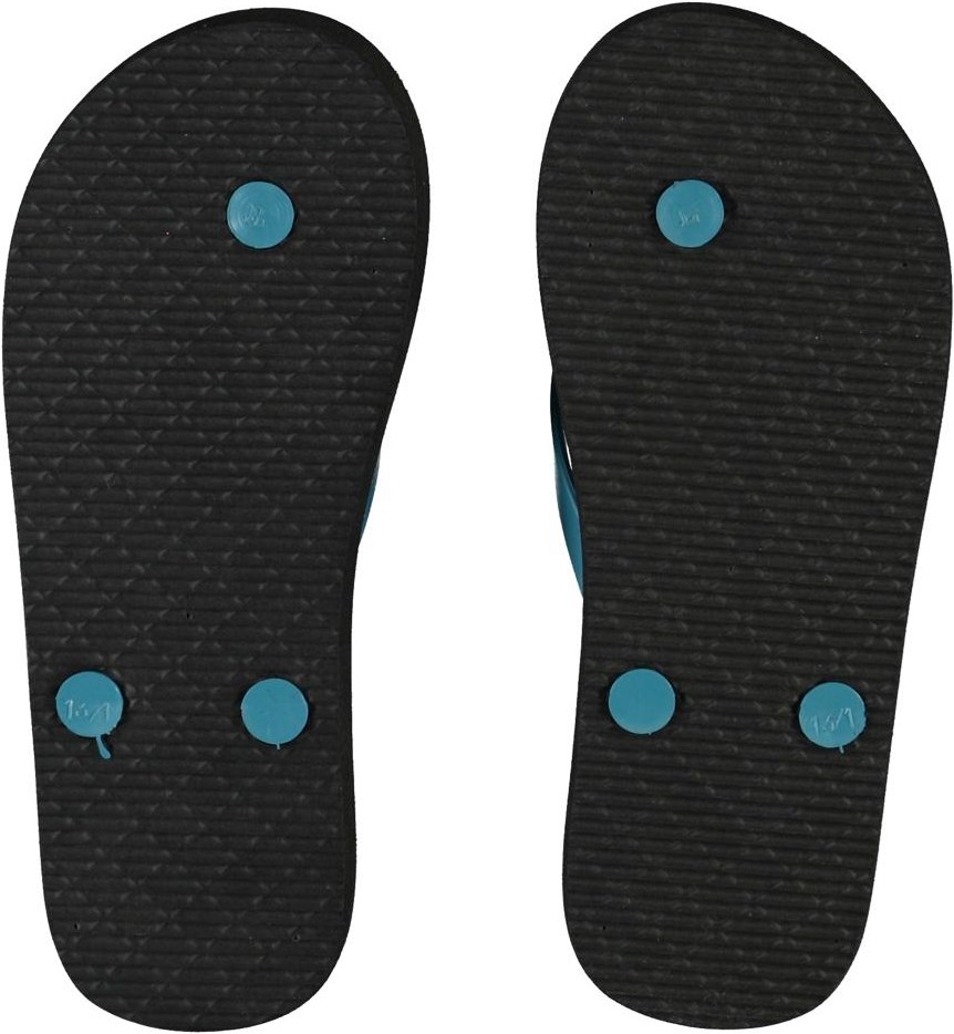 Zeppo - Sea Turtles - Flip flops with turtle print 