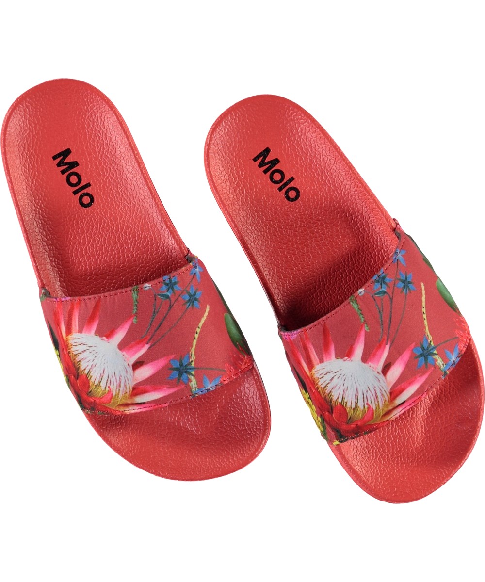 Zhappy - Australian Flowers - Red slippers with flower print. 
