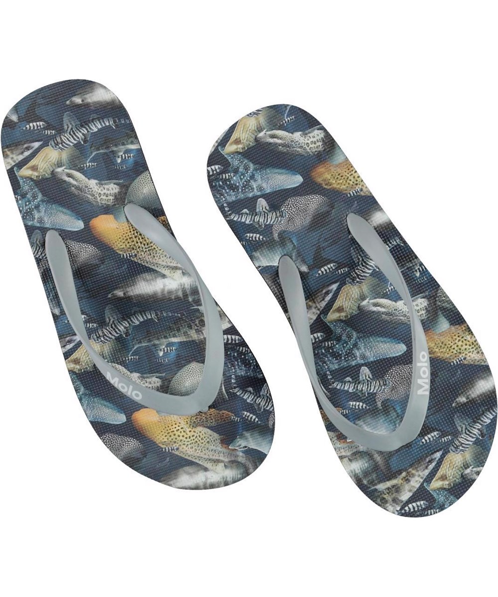 Zeppo - Amazing Sharks - Klipklapper i hajprint