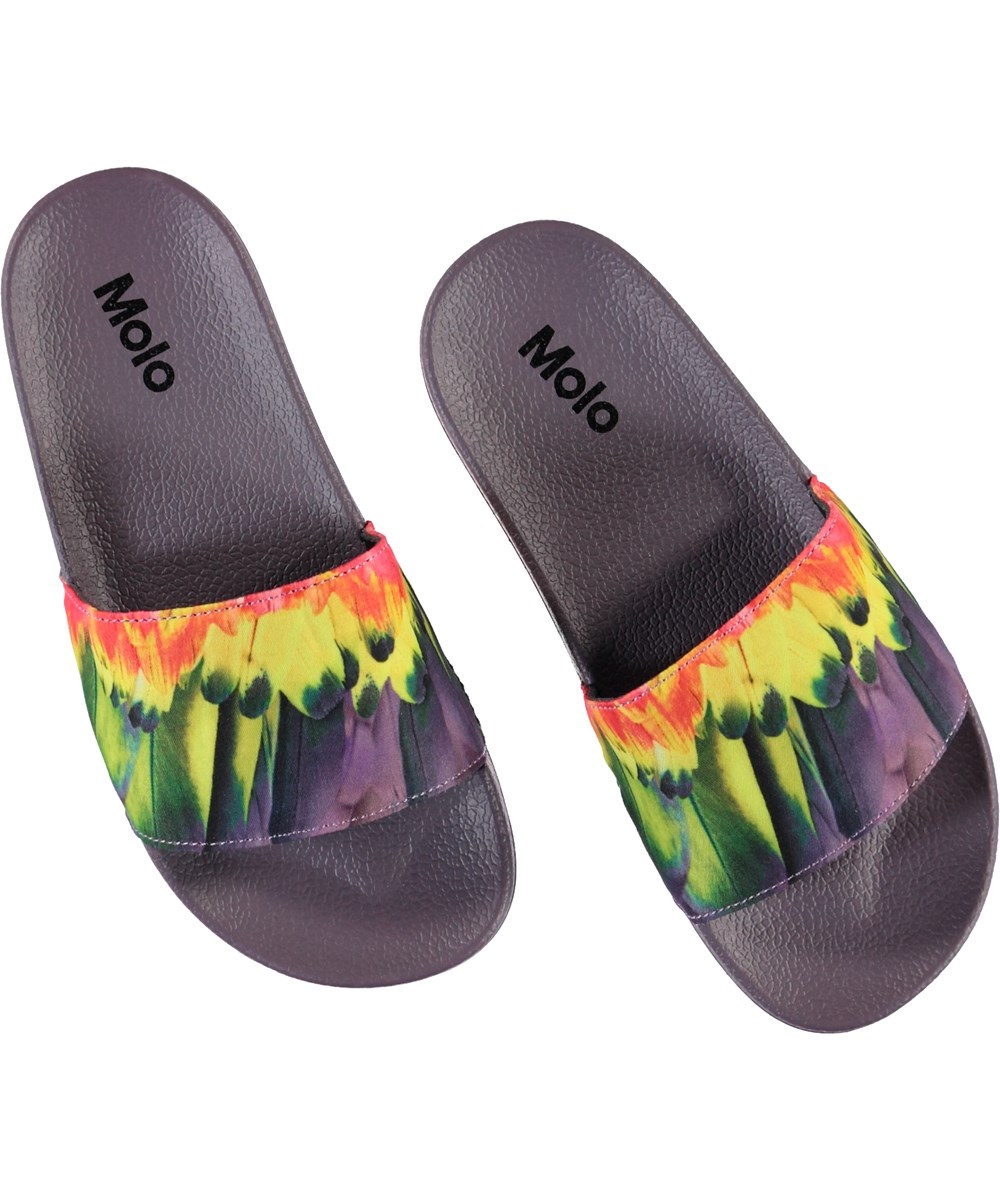 Zhappy - Amazon Parrots - Lilla slippers med print af fjer. 