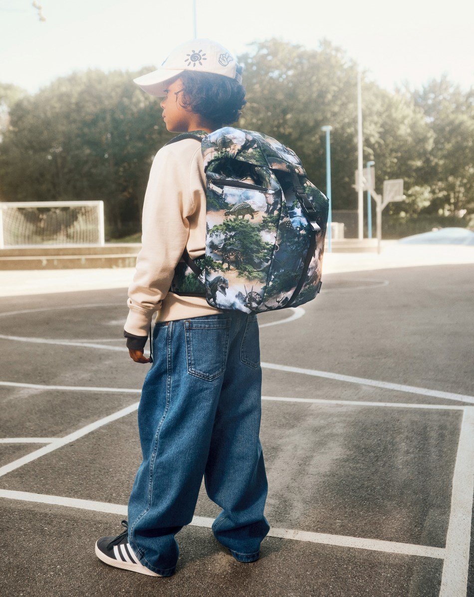Backpack School - Mountain Dino - Grün/graue Schultasche mit einem Druck einer Dinosaurierlandschaft aus strapazierfähigem Polyester mit wasserabweisender Oberfläche