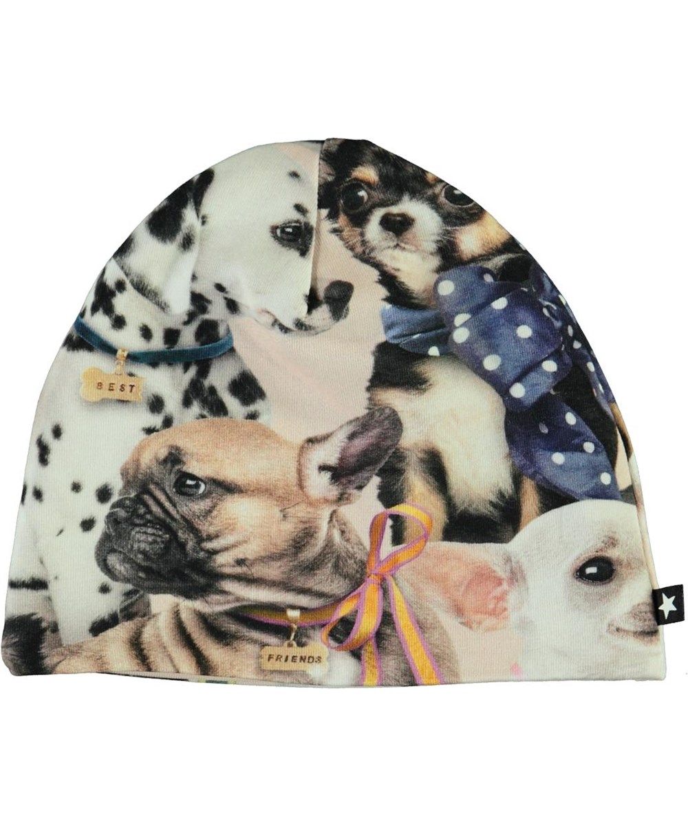 Ned -  Puppy Love - Økologisk babyhue med hunde print