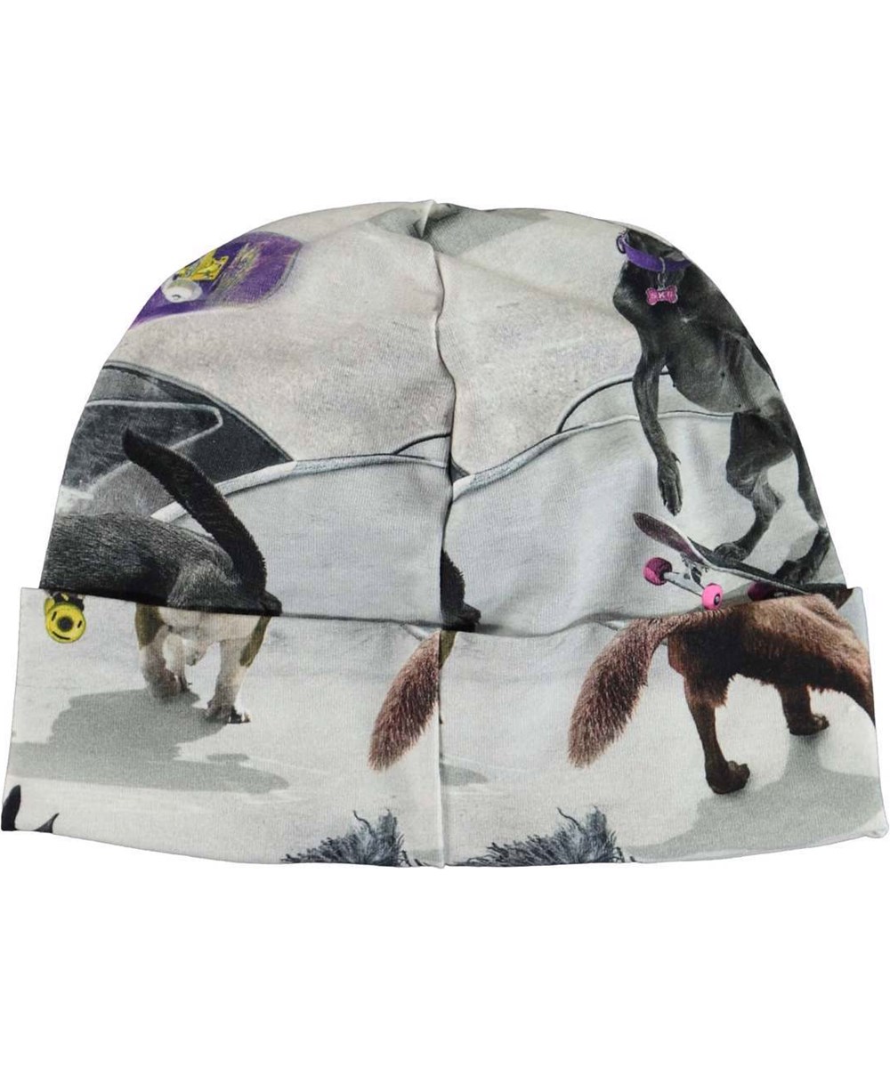 Nico - Doggy Town - Babyhue med hunde på skateboard