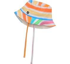 Nomly Acc. Collection