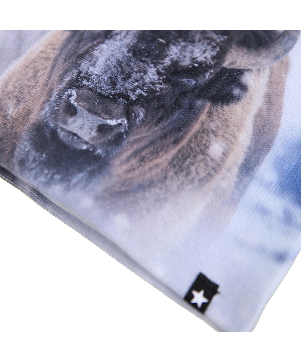 Kaya - Bison Close Up - Blå sæt med hue og fingerhandsker med bisonokse til børn.