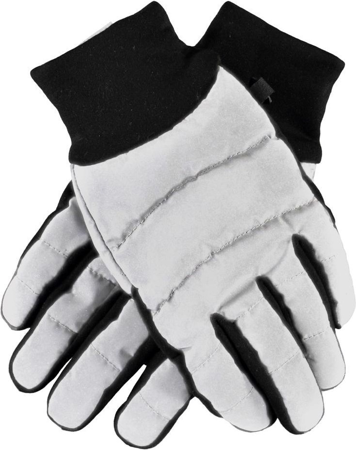 Moses - Reflective - 