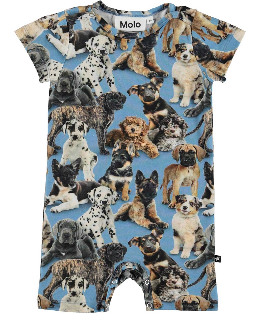 Felton - Pups - Short sleeve organic bodysuit puppies 