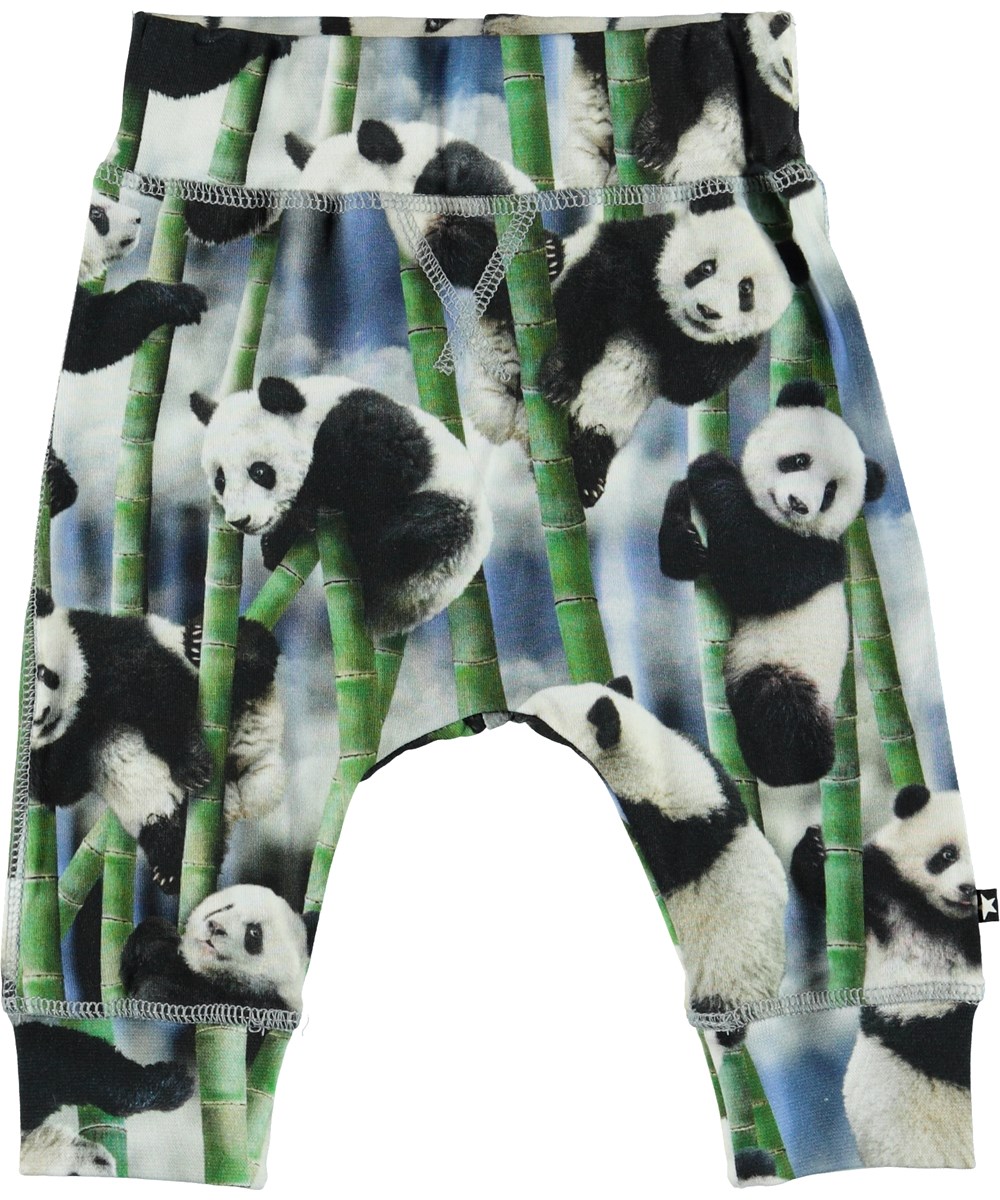 Sammy - Panda - Organic baby trousers with pandas