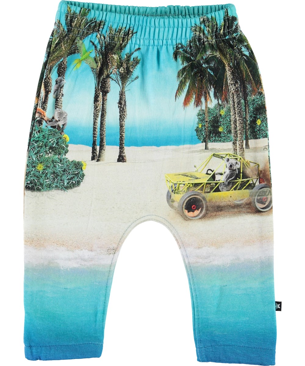 Storm - Venturing Koala - Baby trousers with beach and koalas 