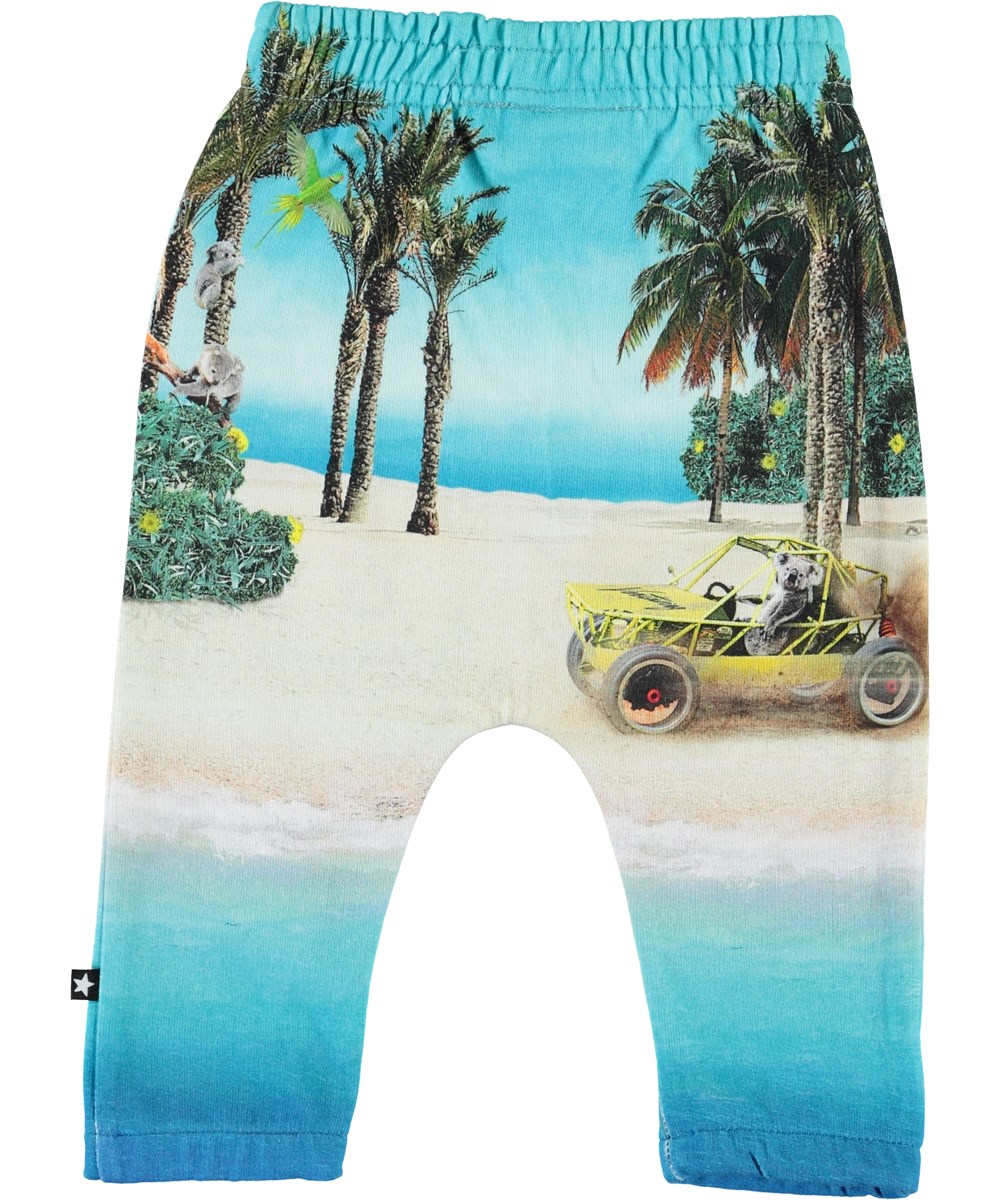 Storm - Venturing Koala - Baby trousers with beach and koalas 