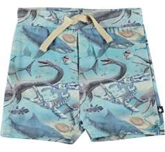 Simroy Shorts